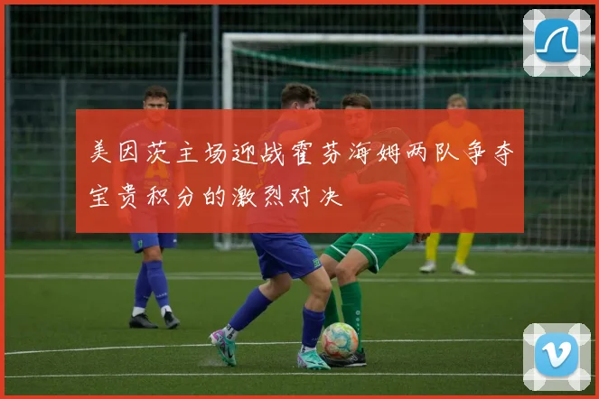 美因茨主场迎战霍芬海姆两队争夺宝贵积分的激烈对决