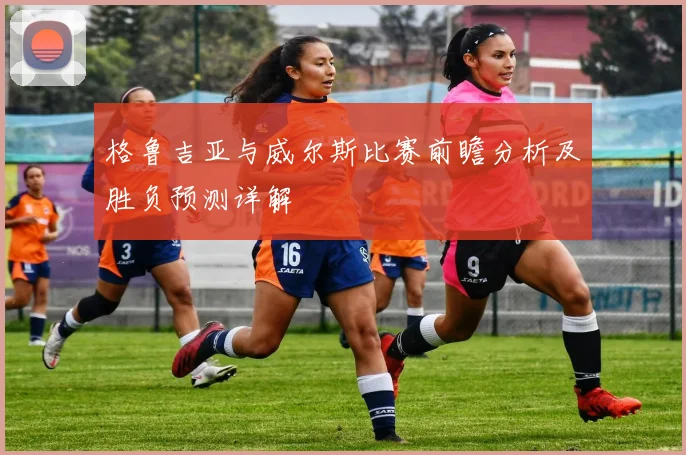 格鲁吉亚与威尔斯比赛前瞻分析及胜负预测详解