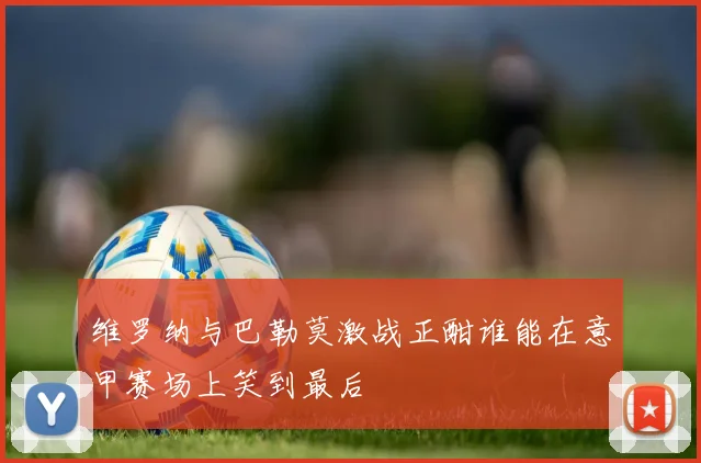 维罗纳与巴勒莫激战正酣谁能在意甲赛场上笑到最后