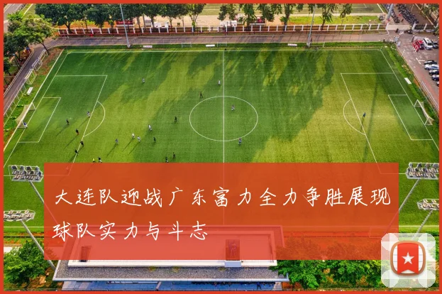 大连队迎战广东富力全力争胜展现球队实力与斗志